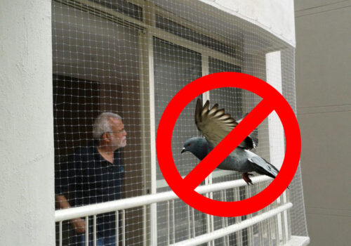 anti-pigeonnets-1024x768